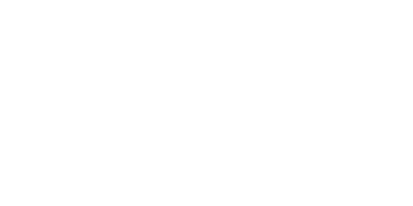 Tribal Worldwide
